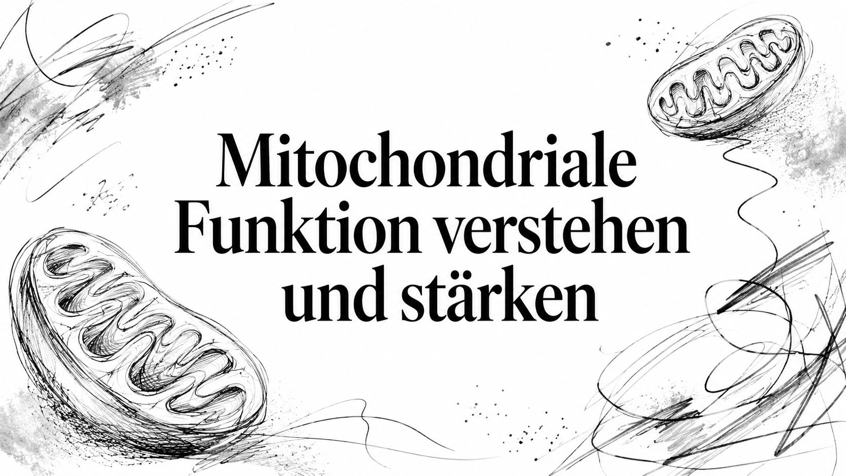 Mitochondriale Funktion verstehen und stärken